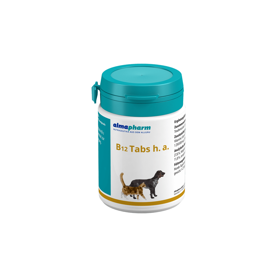 B12 TABS HA 100TBL.
