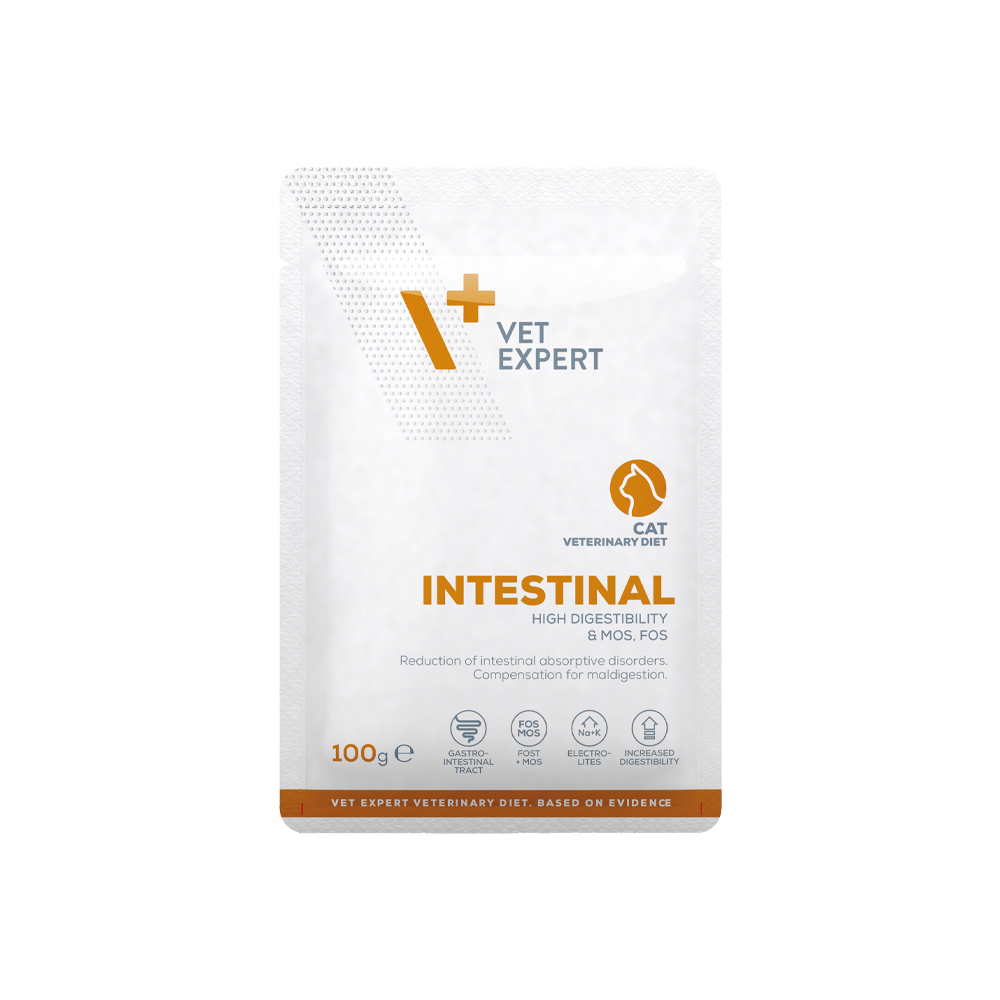 CAT VET DIET INTESTINAL 100G VREČKA