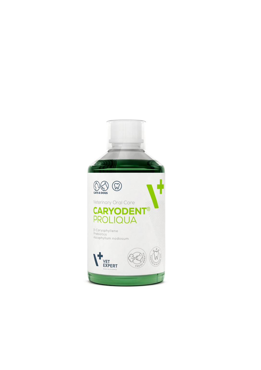 CARYODENT PROLIQUA ZOBNA TEKOČINA 250ML
