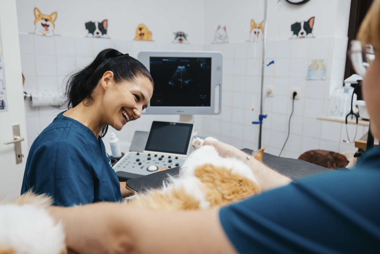 Celostna obravnava živali z ultrazvočno diagnostiko