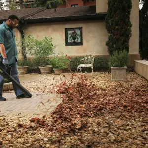 80V puhalnik z brezkrtačnim DIGIPRO motorjem