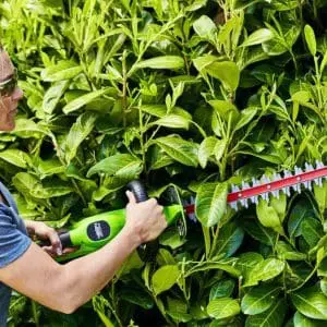 24V 61cm škarje za živo mejo, vrtljiv ročaj, v kompletu, z 2Ah baterijo in polnilnikom